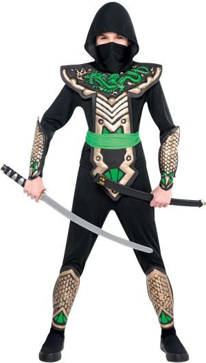 Boys Dragon Slayer Ninja Costume - Boys Ninja Costumes - Boys Costumes ...